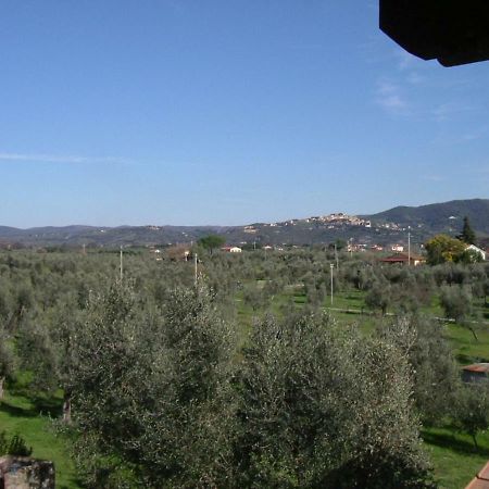 Agriturismo Greppo All'Olivo 多诺然蒂克 外观 照片