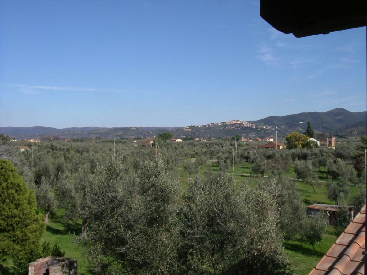 Agriturismo Greppo All'Olivo 多诺然蒂克 外观 照片